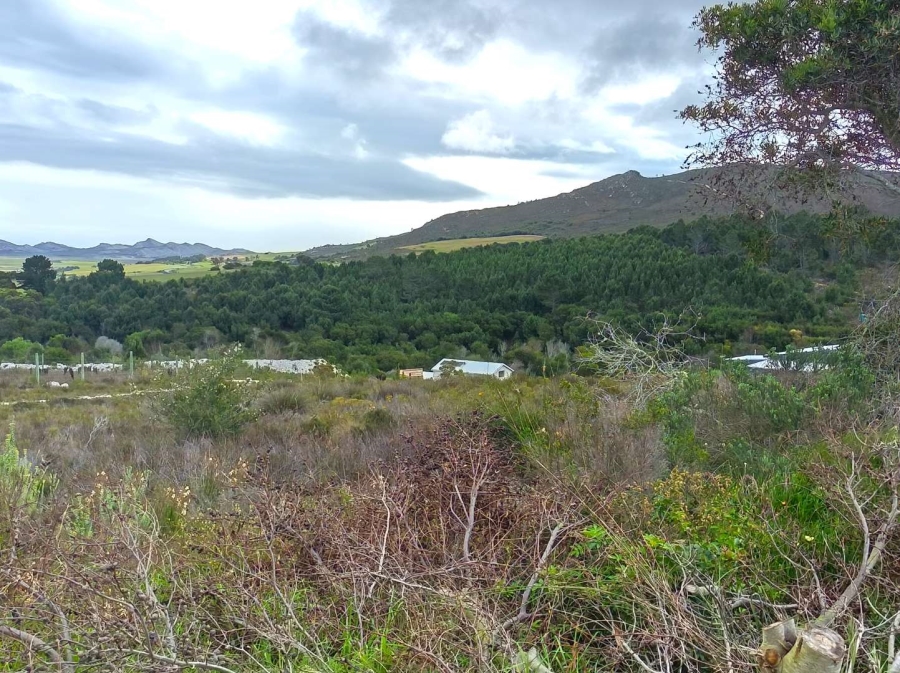 0 Bedroom Property for Sale in Baardskeerdersbos Western Cape